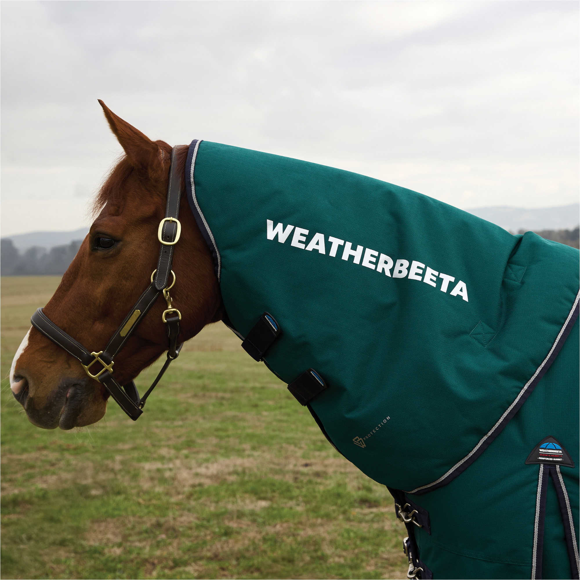2025 Weatherbeeta Comfitec Plus Dynamisch Sich Herausstellen Nacken Abdeckung 1029012 - Forest Green